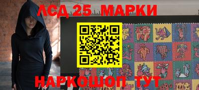 гашик Боровичи
