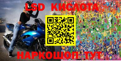стафф Брянск