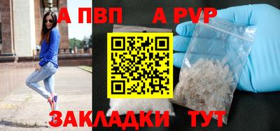 гашик Боровичи