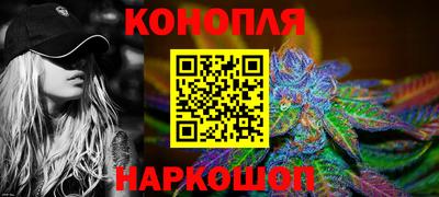 гашик Боровичи