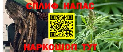 стафф Брянск