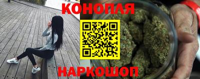 стафф Брянск