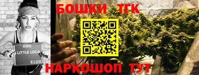 стафф Брянск
