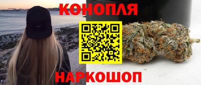 a pvp Братск