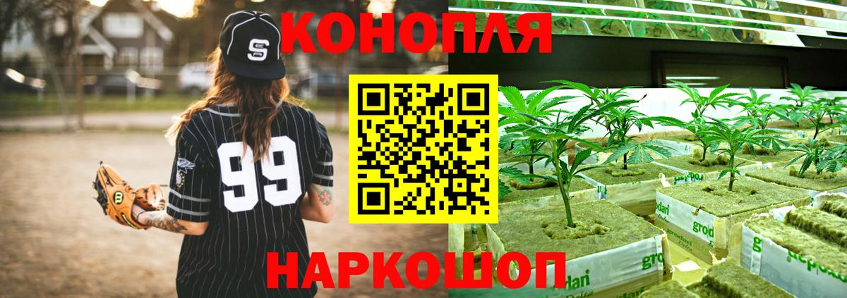 Баксан  Марихуана Bruce Banner  Вход с VPN  Каннабис индика 