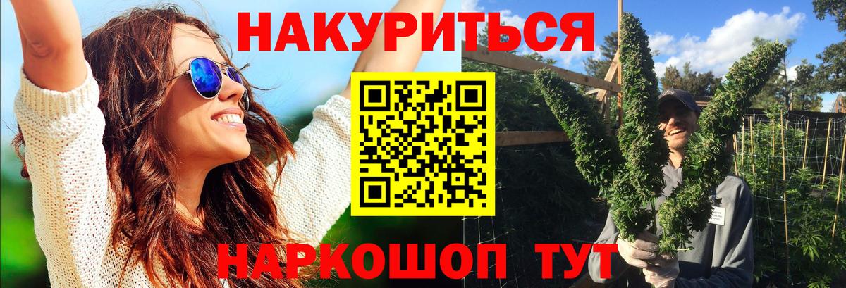 Конопля гибрид Баксан